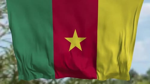 Realistic Cameroon Flag Waving Loop Background