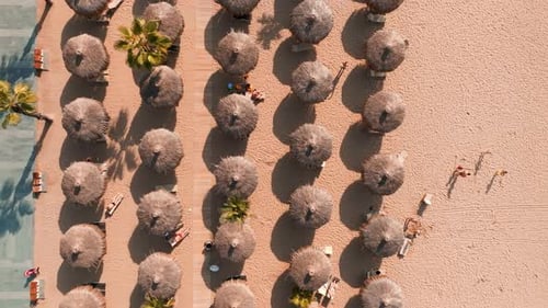 Aerial View of Umbrellas Palms on the Sandy Beach People Blue Sea with Waves at Sunset