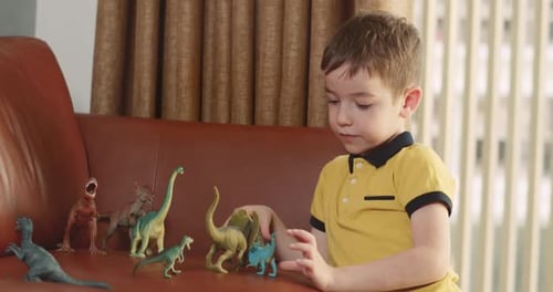 Young Boy Playing with Dinosaurs Indoors