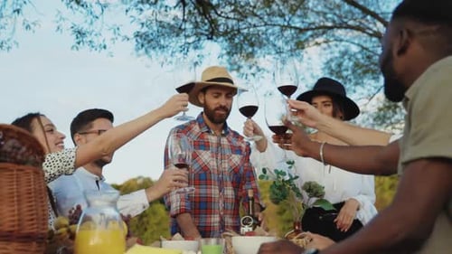 Friends Toasting with Wine at Sunny Outdoor Picnic