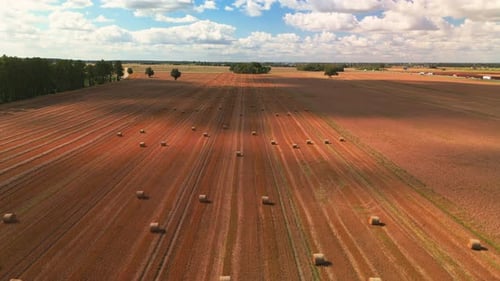 A wide aerial view of a harvested field with neatly arranged hay bales under a bright blue sky fille