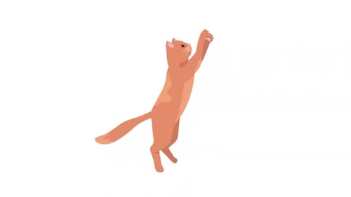 Animated Flat Design Cat Standing and Reaching Upward