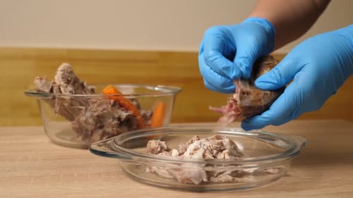 Hands with Gloves Shredding Cooked Meat From Bones