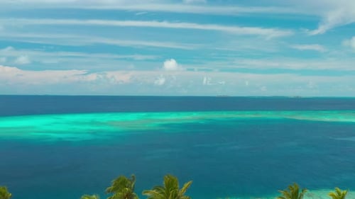 Fly Over on Palm Trees in Tropical Island with Turquoise Sea in Maldives