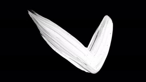 Paint Brush Strokes. Check Mark Strokes