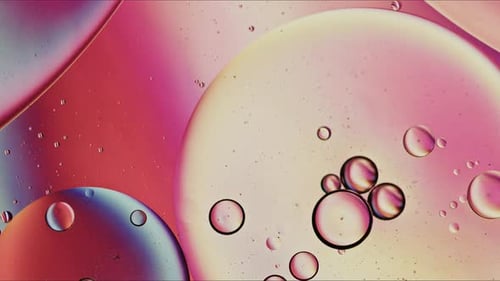 Abstract Colorful Organic Food Oil Drops Bubbles On Water Surface 012