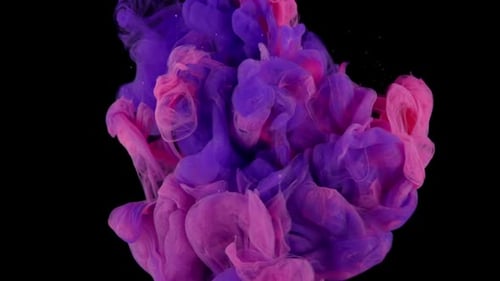 Abstract Pink and Purple Ink Plumes Against Black