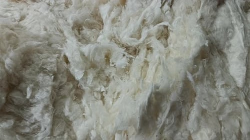 Close Up of White Fiber Texture