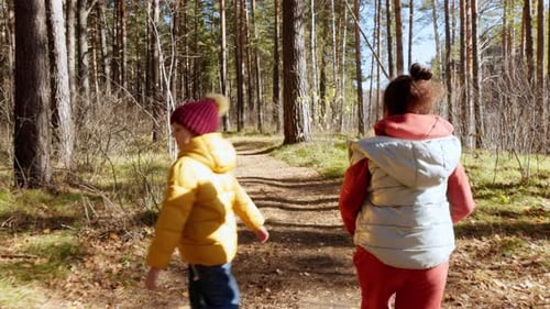 Children Explore a Forest Trail in Autumn Sunlight During a Weekend Adventure