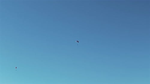 Paragliders gracefully float in the air on a beautiful day with a clear blue sky.