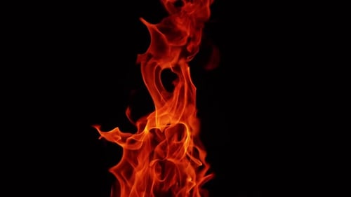 Red fire flame stretching high into the darkness. Blaze isolated at black backdrop.