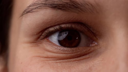 Portrait Vision Zoom Shot of Beautiful Caucasian Female Model Eyes with Brown Iris Eyebrows and Face