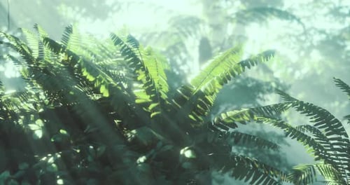 Sunlight Filters Through Lush Fern Leaves in a Tranquil Forest Setting