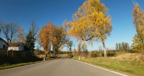 POV view of fall landscape from car