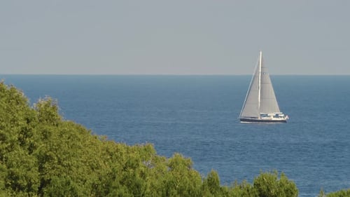 Sailboat Sails in the Sea
