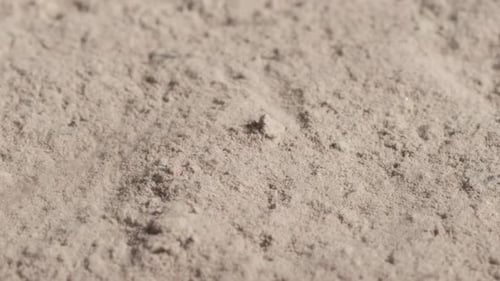 Wind blowing sand across dry ground in a natural and textured close-up scene