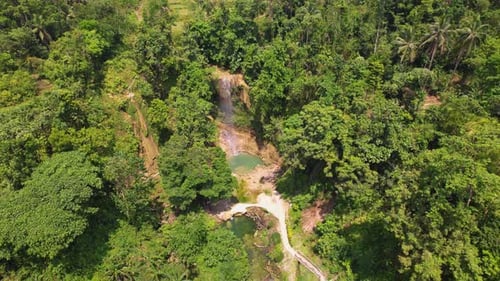 Vidéo d'un drone 4K survolant la nature tropicale luxuriante en direction des chutes de Kawasan à Bohol, aux Philippines.