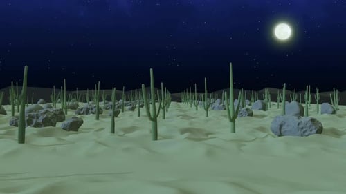 Cactus Desert Night 4k