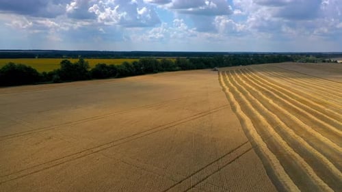 Aerial view of metal grain elevator in agricultural zone. Grain warehouse