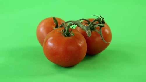 tomate allumée sur écran vert