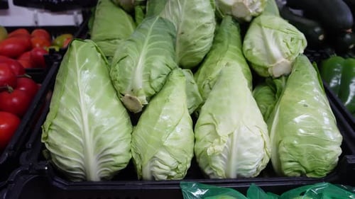 Fruit Shop Vegetables