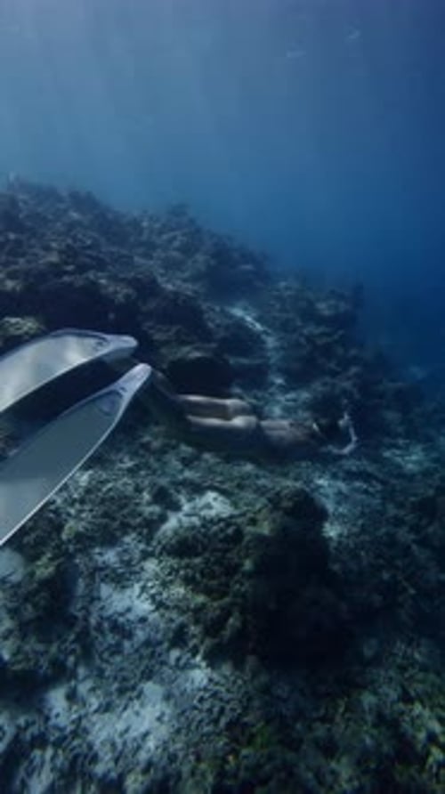 Freediver Underwater in Blue Ocean Attractive Woman Free Diving in Near Coral Reef Vertical Screen