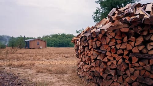 general plan of chopped wood A pile of firewood lying in a field near the forest, prepared fireplace