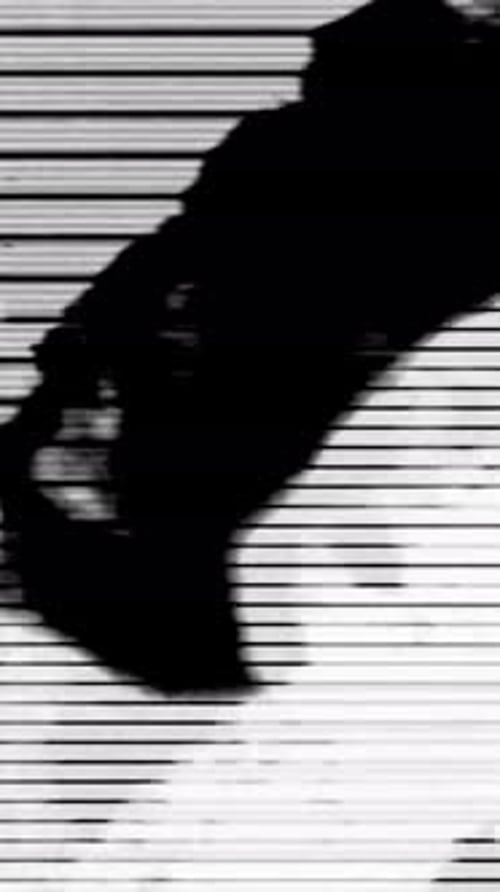 Digital Glitch and Grunge Static Video Transitions