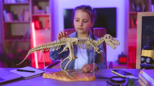 Girl Examines Dinosaur Skeleton Model at Desk
