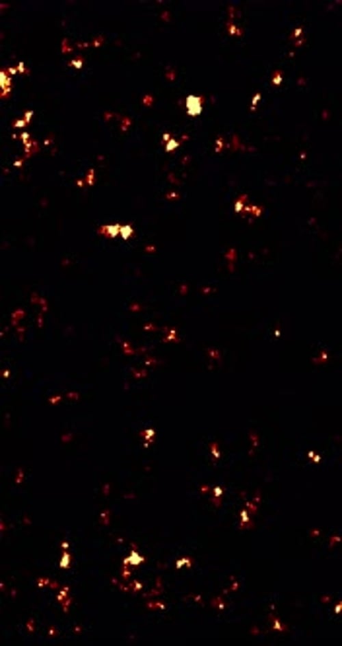 Abstract Glowing Fire Embers Rising Seamless Loop