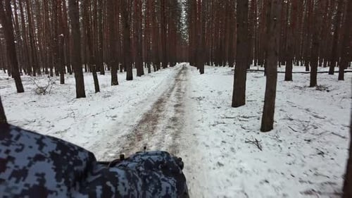 POV Man Riding a Quad Bike Between Winter Pine Trees Steering Wheel View