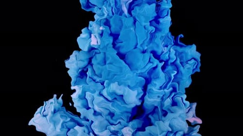 Abstrakte Eruption Rote Tinte und blaue Farbe explodieren zu einer lebendigen Wolke auf einer schwarzen Oberfläche