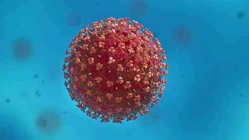 Animated 3D Virus Particle Rotating for Medical Science Visualizations