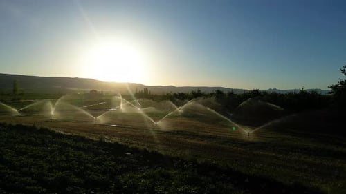 Automatische Bewässerungssysteme werden auf landwirtschaftlichen Feldern eingesetzt