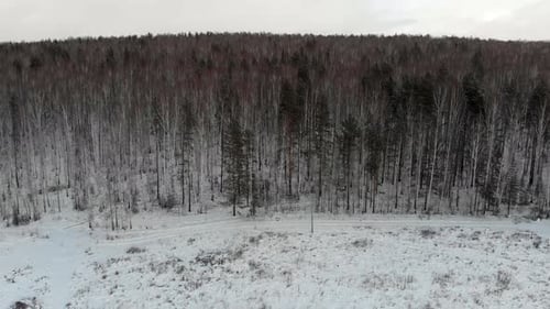 Schneebedeckter Winterwald