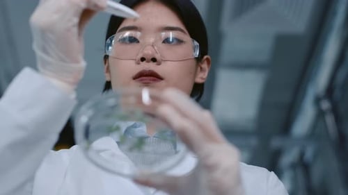 Young Adult Scientist Examining Petri Dish in Lab