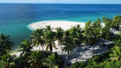 Maldives Islands Ocean Tropical Beach with Palms Holiday Vacation Footage Aerial View