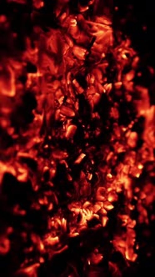 Burning Coal Close Up of Red Hot Coals Glowed in Bonfire Vertical Video