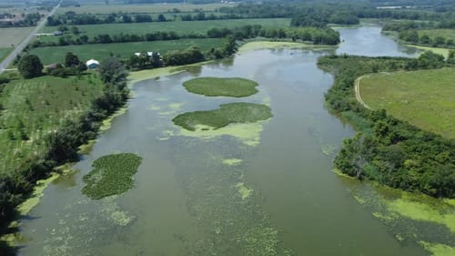 Zone humide de l'Ontario au Canada affectée par la fragmentation de l'habitat par une route