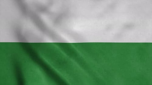 Seamless White and Green Waving Flag Animation