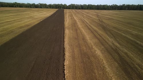 Tractors plowing the field in Ukraine