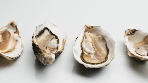 Oysters with Lemon Isolated on White Background