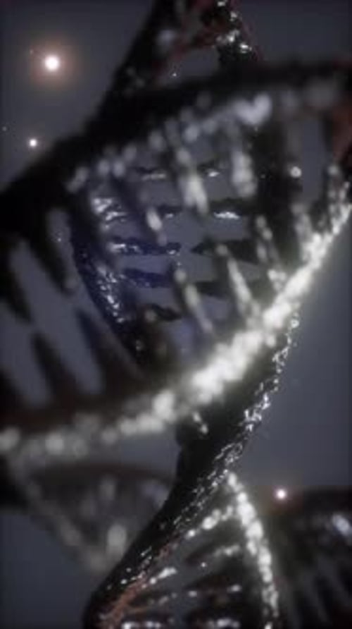 Doppelhelikale Struktur einer DNA-Strang-Nahaufnahme, Animation