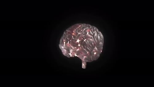 Modelo de cerebro humano transparente con una actividad neuronal brillante