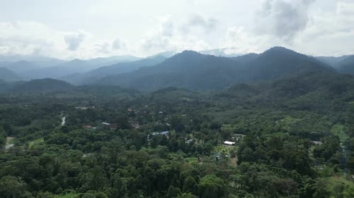 Aerial View of Tropical Forest and Mountains