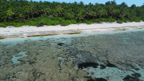 Maldives Island Coastline Beach with Palms Trees and Ocean Drone View