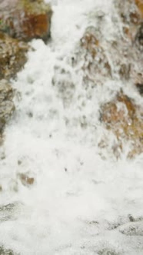 Vertical video. Clear stream of water cascading down mossy rocks in lush forest in slow motion, low