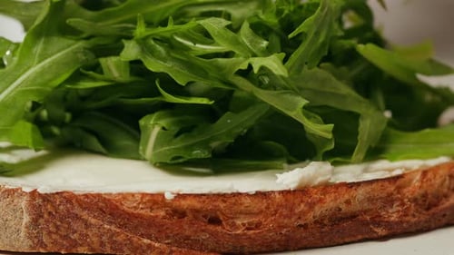 Toasted Bread Topped With Cream Cheese and Arugula