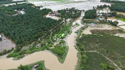 Aerial view of floodwater in oil palm plantation and village