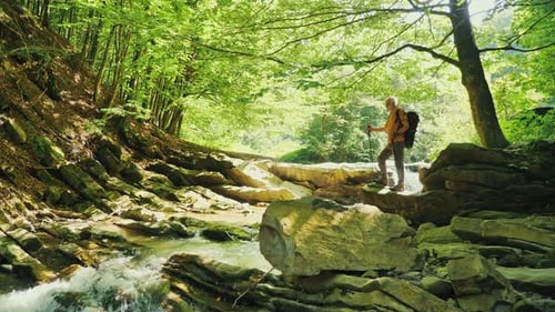 Senior Male Hiker with Backpack Nordic Walking Poles Standing on a Large Rock